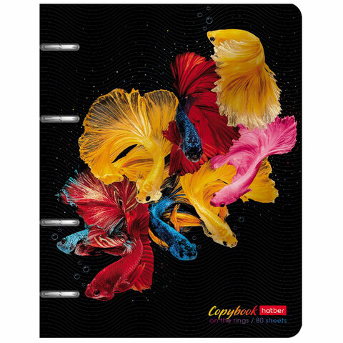 превью Тетрадь на кольцах А5 166×220 мм, 80 л., металлизированный картон, клетка, HATBER, «Экспрессия», 80ТК5мтлВ1