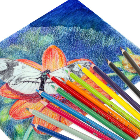 Карандаши цветные акварельные BRAUBERG PREMIUM AQUARELLE12 цветовгрифель мягкий 4 мм181671