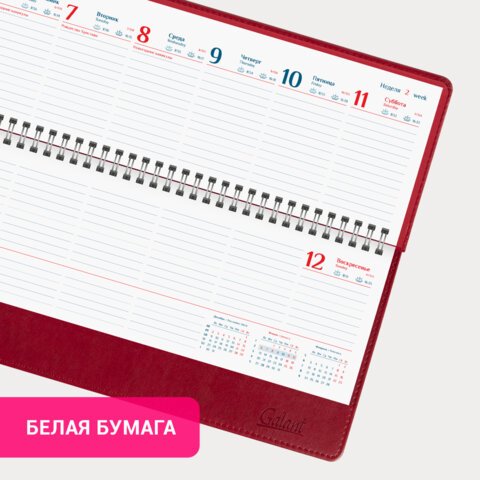 Планинг датированный 2025 305×140 мм GALANT «Ritter», под кожу, красный