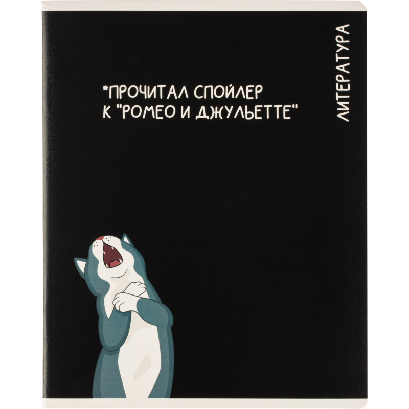 Тетрадь предметная КОТЫ МЕМЫ, набор12 шт.48л, А5+, клетка/линия/71449