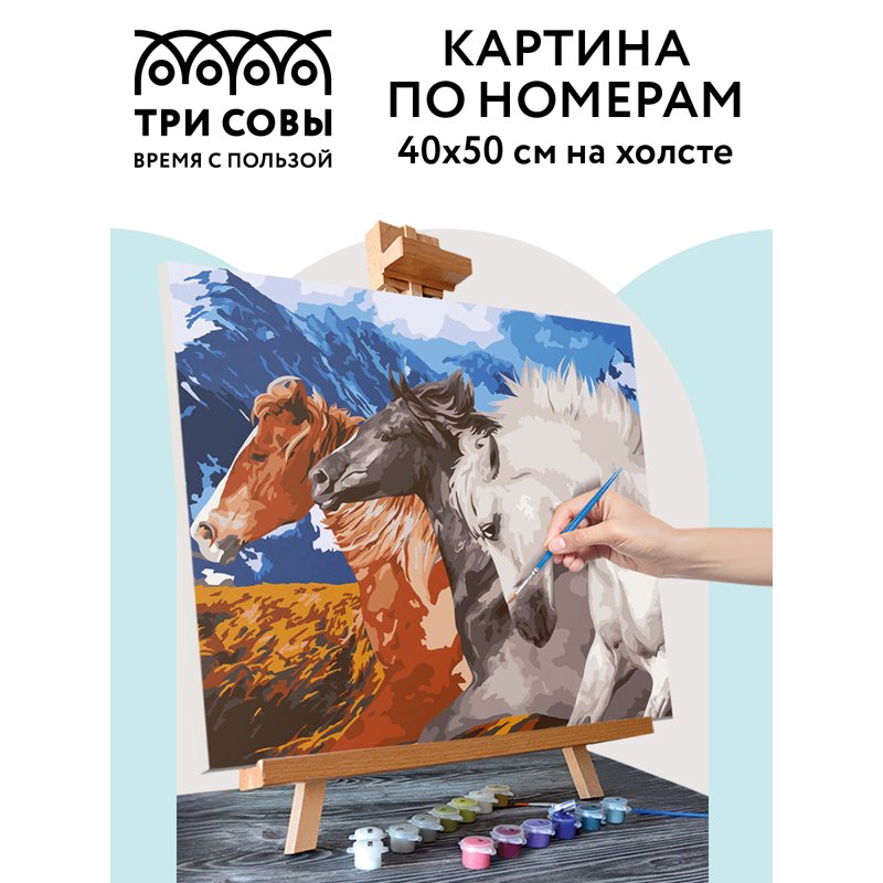 Картина по номерам на холсте ТРИ СОВЫ «Тройка коней», 40×50, с акриловыми красками и кистями