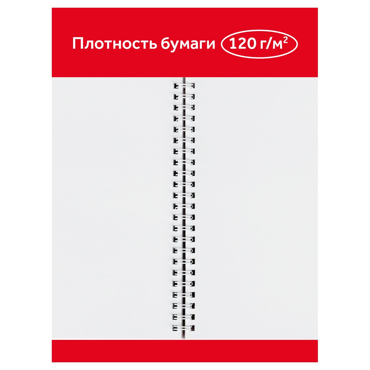 Альбом для рисования 32л., А4, на гребне Гамма «Мультики», 120г/м2