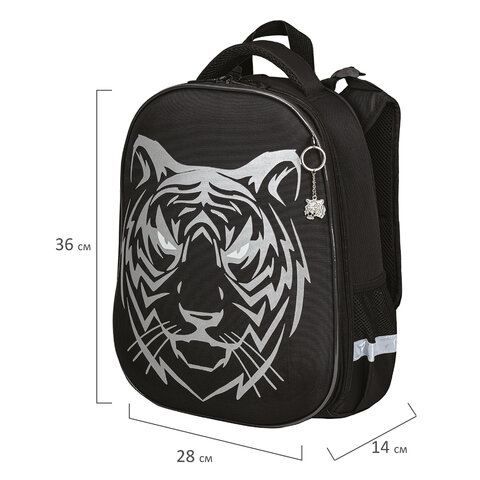Ранец BRAUBERG SHINY, 2 отделения, «Tiger», СВЕТЯЩИЙСЯ РИСУНОК, 36×28х14 см