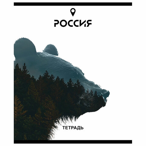 Тетрадь А5 48 л. ПЗБМ, скоба, клетка, Soft Touch, брайль, «Место Силы» (микс в спайке)