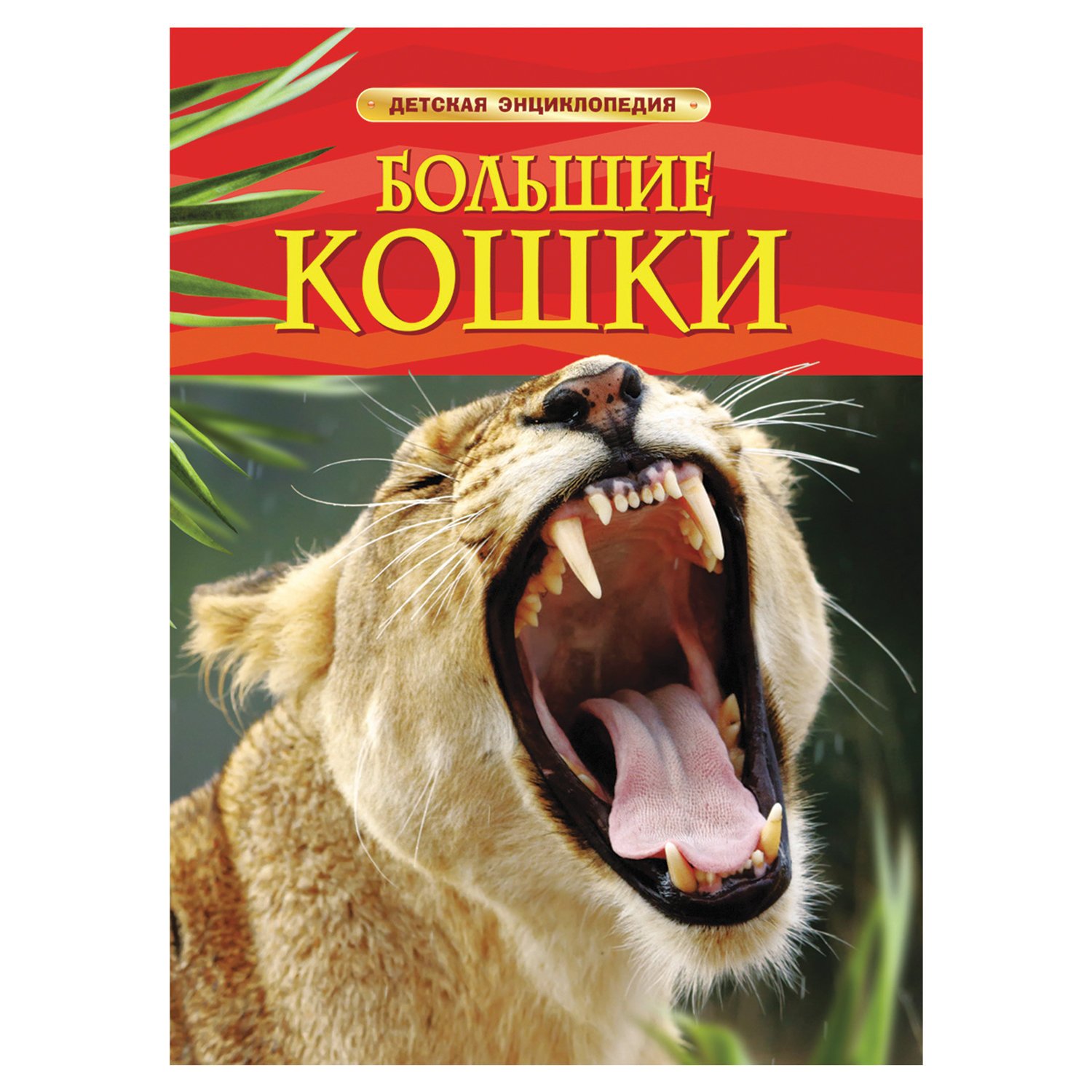 превью Энциклопедия детская. Большие кошки. Тернбулл С., Шейх-Миллер Дж. 