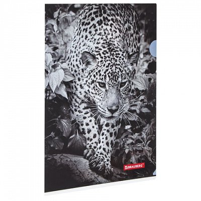 Папка-уголок BRAUBERG «Леопард», А4, 150 мкм, цветная печать, 228040