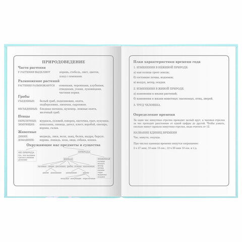 Дневник 1-4 класс 48 л., гибкая обложка, ЮНЛАНДИЯ, выборочный лак, с подсказом, «Little Princess»