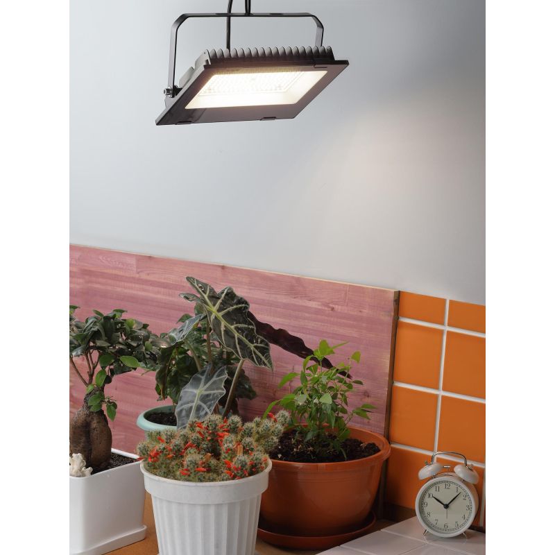 Фитосветильник прожектор для растений ЭРА FITO-100W-Ra90-LED (Б0047876)