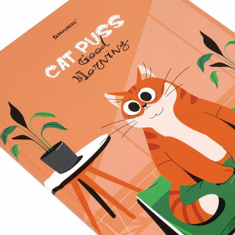 Дневник 1-11 класс 40 л., твердый, BRAUBERG, глянцевая ламинация, «Cute cat»