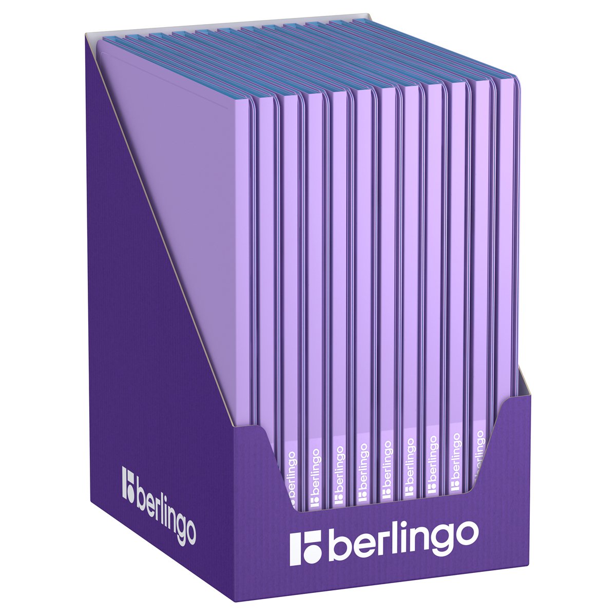Папка с 10 вкладышами Berlingo «Haze», 9мм, 600мкм, с внутр. карманом, сиреневая, софт-тач
