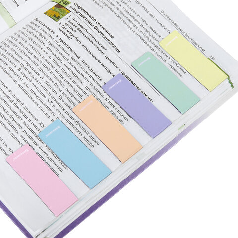 Закладки для книг МАГНИТНЫЕ, «PASTEL», набор 6 штук, 60×20 мм, BRAUBERG