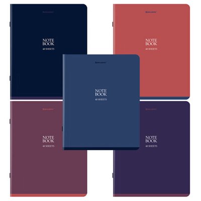Тетрадь А5, 48 л., BRAUBERG, скоба, клетка, SoftTouch, «NoteBookMono», (микс в спайке)