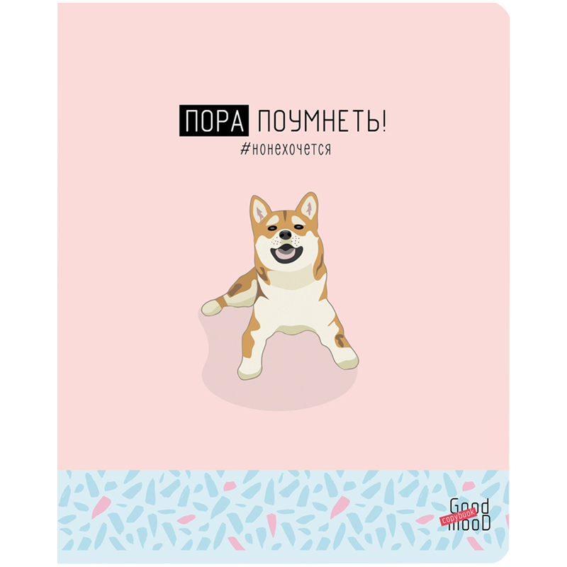 Тетрадь 48л., А5, линия BG «Пора поумнеть», матовая ламинация