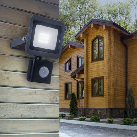 Прожектор светодиодный ЭРА, датчик движения, 20(175) Вт, 6500К, 1600 Лм, IP65, черный, LPR-041-2-65K-020