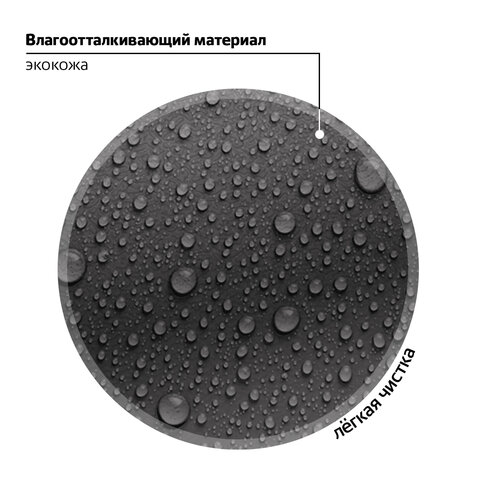 Ранец BRAUBERG SHINY, 2 отделения, с брелком, «Smiling cat», 38×28х14 см