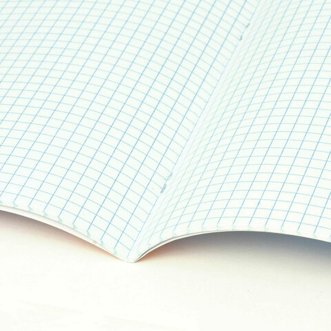 Тетрадь 24 л. BRAUBERG клетка, обложка картон, CLASSIC TEXTURE