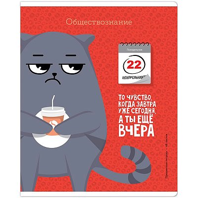 Тетрадь предметная 48л. ArtSpace «Котоцинизм» - Обществознание, ТВИН-лак