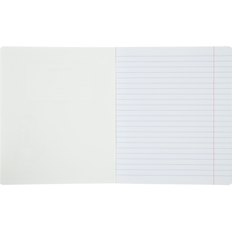 Тетрадь школьная Комус Три богатыря А5.18л линия, скреп., 10шт/уп, ВБ-лак