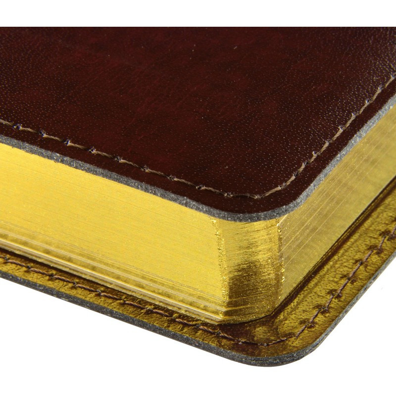 Ежедневник полудатированный Bruno Visconti Profy натуральная кожа А5 208 листов коричневый (золотист