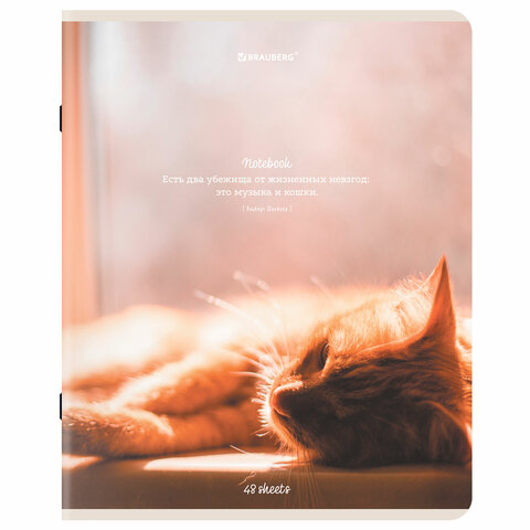 Тетрадь А5, 48 л., BRAUBERG, скоба, клетка, матовая ламинация, «Cats», (микс в спайке)