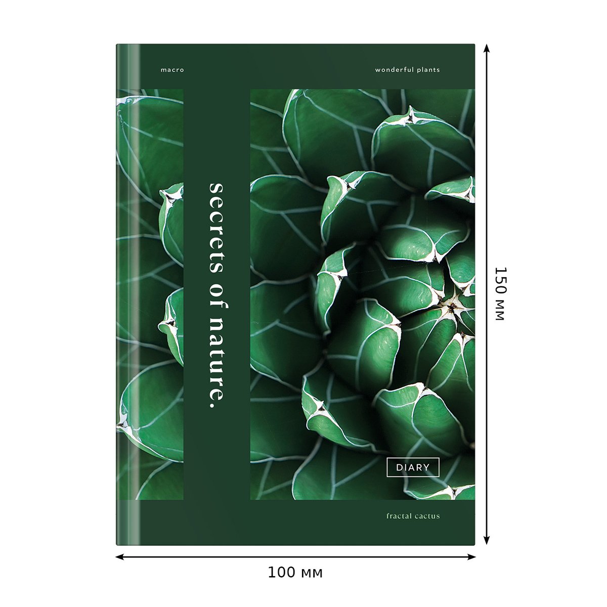 Записная книжка А5 64л. BG «Secrets nature», матовая ламинация, блок-еженедельник
