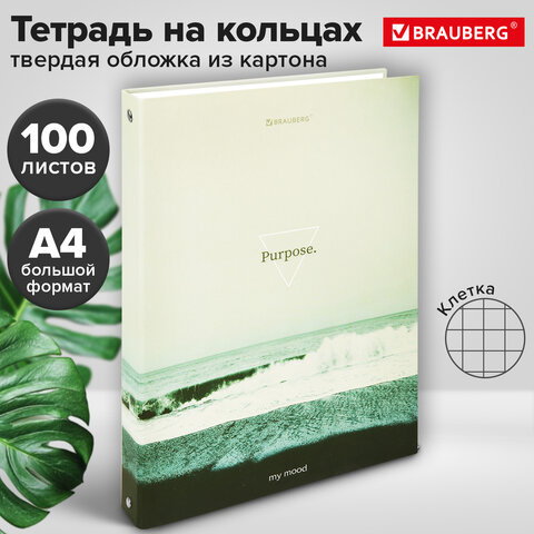 Тетрадь на кольцах БОЛЬШАЯ А4, 215×305 мм, 100 л., твердый картон, клетка, BRAUBERG, «Nature»