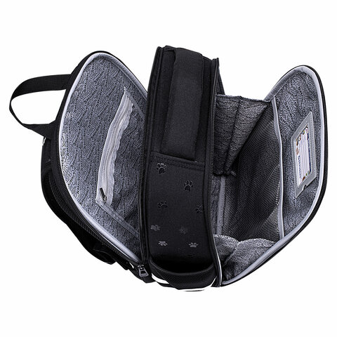Ранец BRAUBERG FIT, 2 отделения, «Dark cat», 38×27х14 см