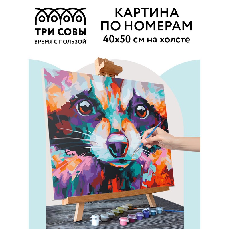 Картина по номерам на холсте ТРИ СОВЫ «Енот», 40×50, с акриловыми красками и кистями