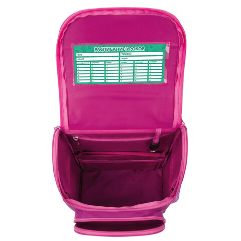 Ранец ПИФАГОР BASICс эргономичной спинкойSmart owls35×28х18 см229933