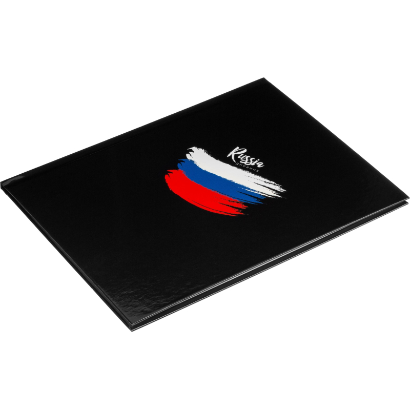 Дневник Росс. шк. унив., 7БЦ, гл. лам. Триколор на черном