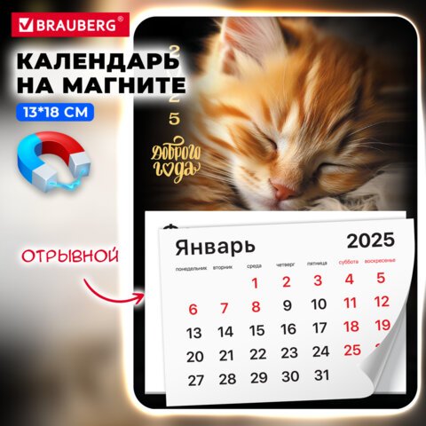 превью Календарь отрывной на магните 2025, BRAUBERG, 130×180мм, склейка, Котик