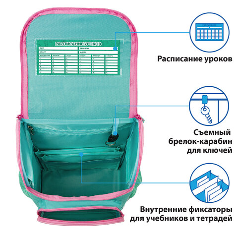 Ранец ПИФАГОР BASICс эргономичной спинкойBaby lama35×28х18 см229934