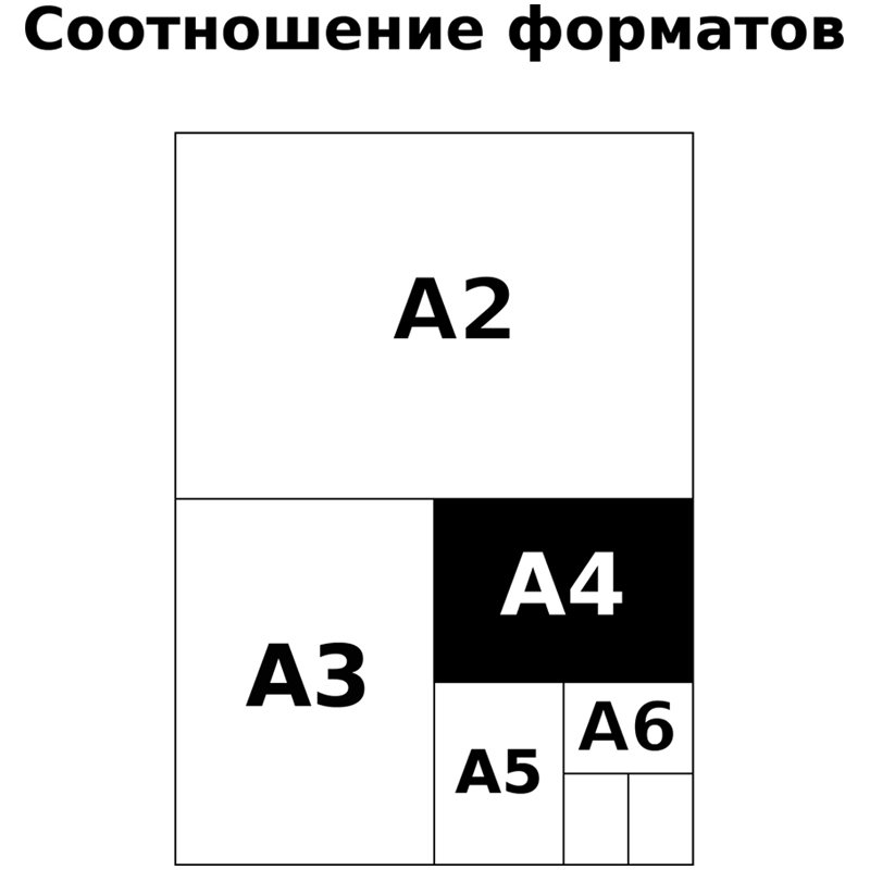 Альбом для рисования 40л., А4, на скрепке BG «Like to draw», эконом