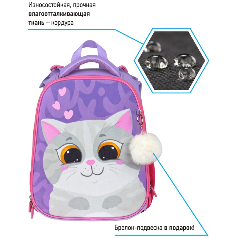 Ранец Berlingo Expert «Cute cat» 37×28×16см, 2 отделения, 2 кармана, анатомическая спинка