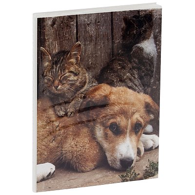 Фотоальбом 36 фото 10×15см, ArtSpace «Friends», мягкая обложка, ПП карман