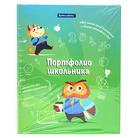 Папка-портфолио школьника «ОТЛИЧНИК», 4 кольца, 20 файлов, 10 вкладышей, 7БЦ матовая, BRAUBERG