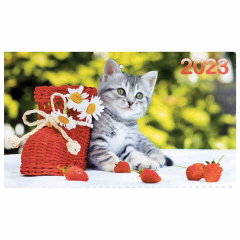 Календарь квартальный с бегунком 2023 г., 3 блока, 3 гребня, ОФИС, «Котенок», HATBER