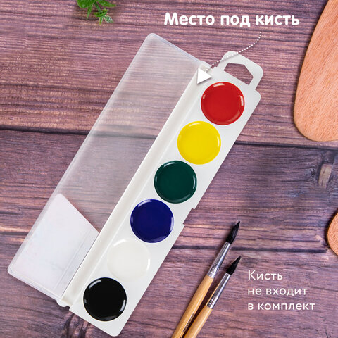 Краски акварельные BRAUBERG «МАГИЯ ЦВЕТА NEW», медовые, 6 цветов, круглые кюветы, пластик