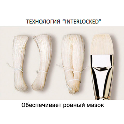 Кисть художественная профессиональная BRAUBERG ART «CLASSIC», щетина, плоская, № 8, длинная ручка