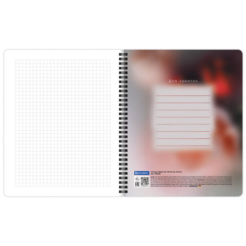 Тетради ДЭК А5 48 л. КОМПЛЕКТ 4 шт., BRAUBERG, гребень, клетка, 80 г/м2, Soft-Touch, «Aesthetics»