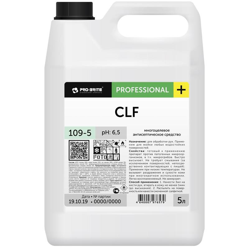 Антисептик кожный дезинфицирующий 5 л PRO-BRITE CLF, готовый раствор