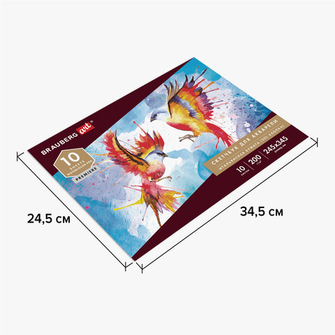 Альбом для акварели, бумага ИТАЛИЯ 200г/м 25% хлопок 245×345мм, 10л, BRAUBERG ART PREMIERE