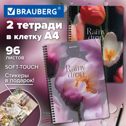 Тетради ДЭК А4 96 л. КОМПЛЕКТ 2 шт., BRAUBERG, гребень, клетка, 80 г/м2, Soft-Touch, «Aesthetics»