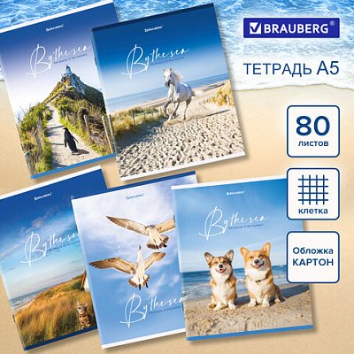 Тетрадь А5, 80 л., BRAUBERG, скоба, клетка, «By the Sea»