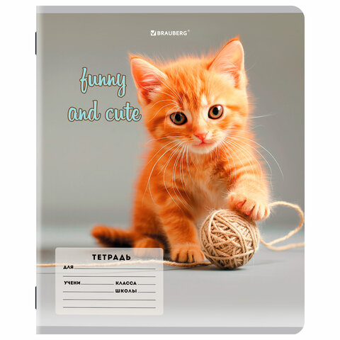 Тетрадь 12 л. BRAUBERG косая линия, обложка картон, CATS AND DOGS