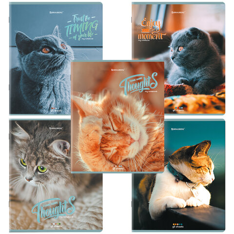 Тетради ДЭК А5 96 л. КОМПЛЕКТ 5 шт., BRAUBERG скоба, клетка, матовая ламинация, «Котики»