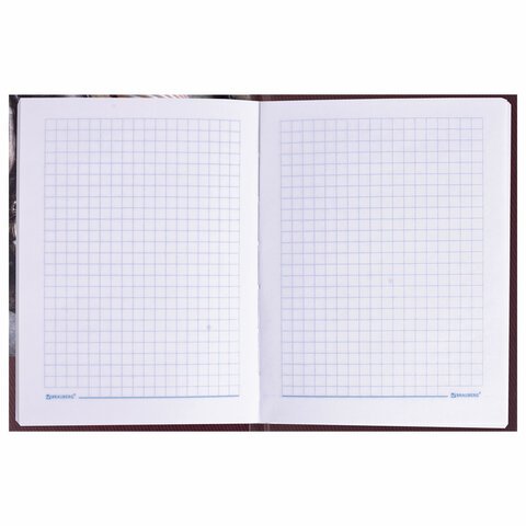 Блокнот 7БЦ, А6, 80 л., обложка ламинированная, выборочный лак, клетка, BRAUBERG, «Время», 110×147 мм
