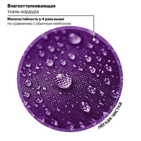 Ранец BRAUBERG KIDS STANDARD, 2 отделения, «Playing kittens», 36×28х14 см