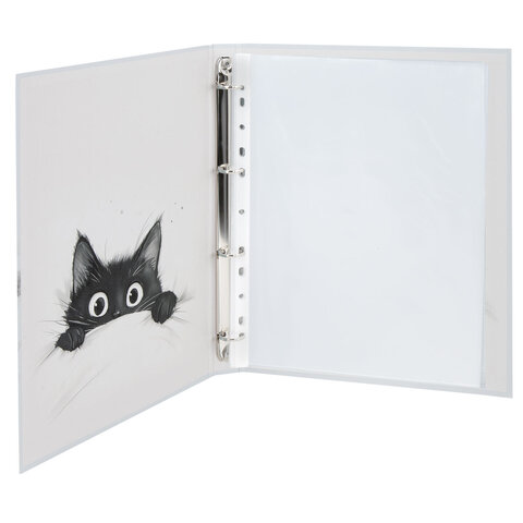 Папка-портфолио универсальная, 4 кольца, 20 файлов, 7БЦ матовая, BRAUBERG «Cat», 107557