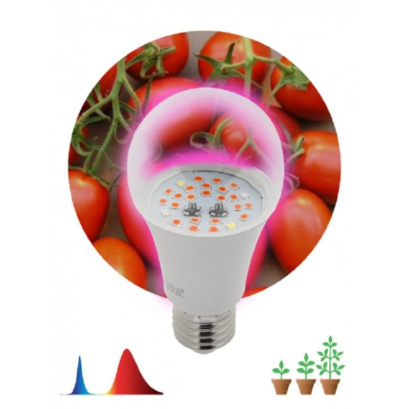 Фитосветильник для растений светодиодный ЭРА FITO-10W-RB-E27 (Б0050600)